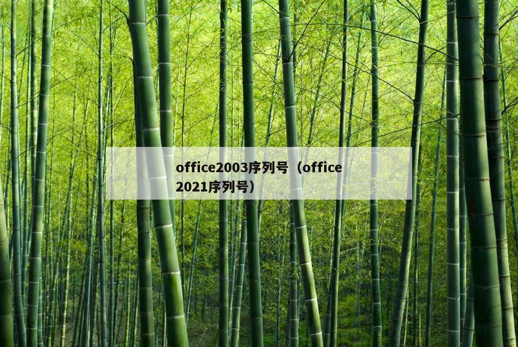 office2003序列号（office2021序列号）