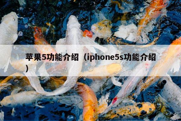 苹果5功能介绍（iphone5s功能介绍）