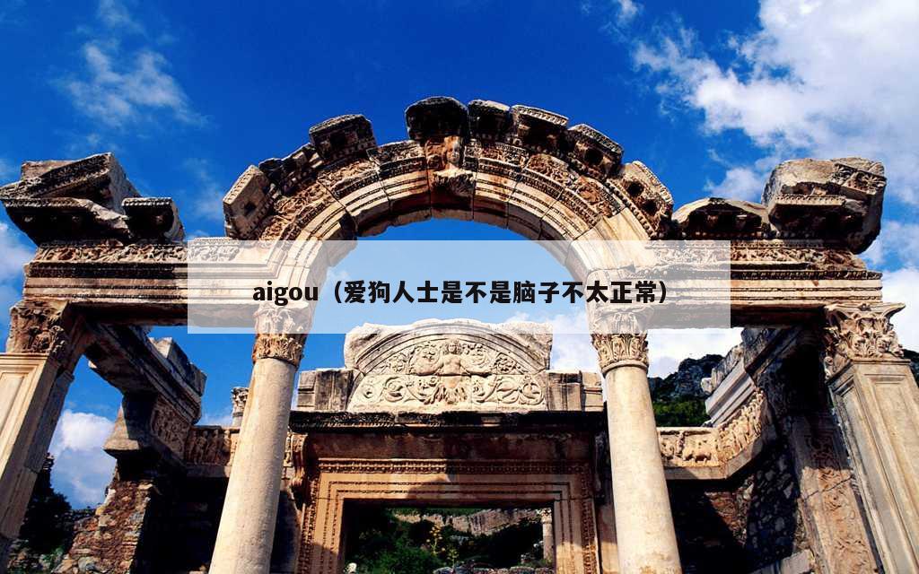 aigou（爱狗人士是不是脑子不太正常）