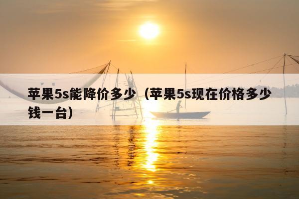 苹果5s能降价多少（苹果5s现在价格多少钱一台）