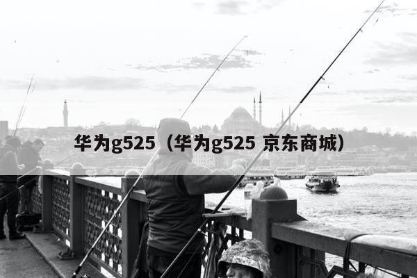 华为g525（华为g525 京东商城）