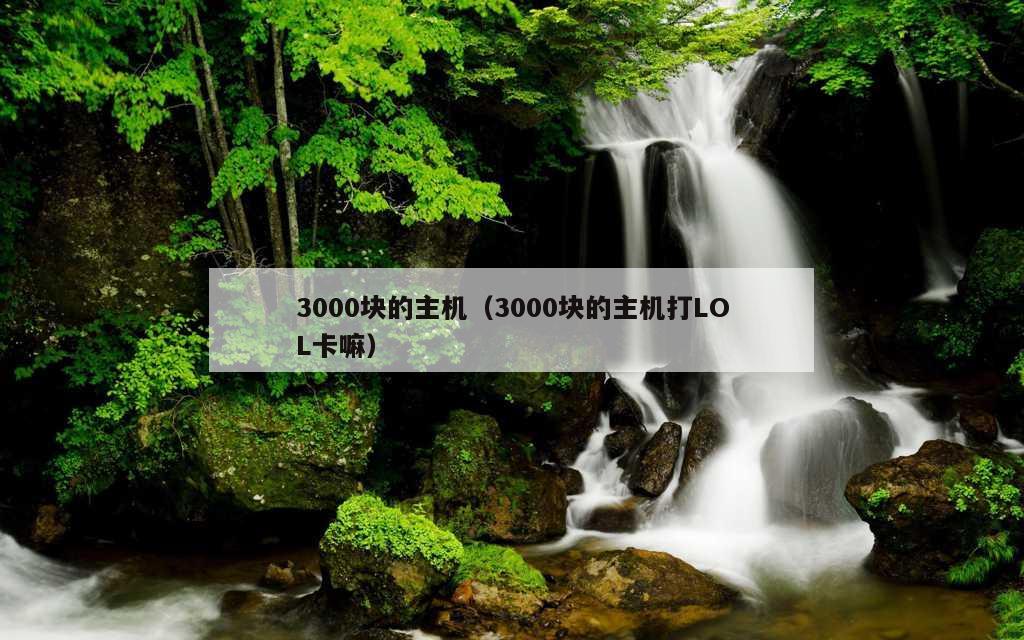 3000块的主机（3000块的主机打LOL卡嘛）