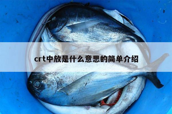 crt中放是什么意思的简单介绍