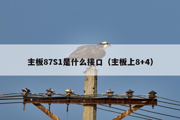 主板87S1是什么接口（主板上8+4）