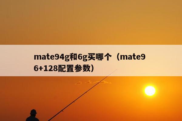 mate94g和6g买哪个（mate9 6+128配置参数）