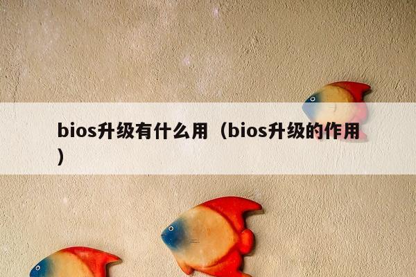 bios升级有什么用（bios升级的作用）