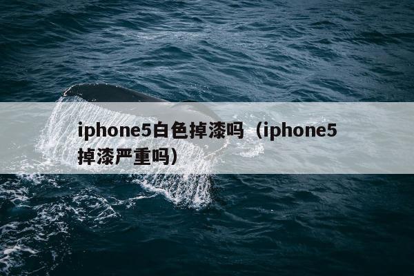 iphone5白色掉漆吗（iphone5掉漆严重吗）