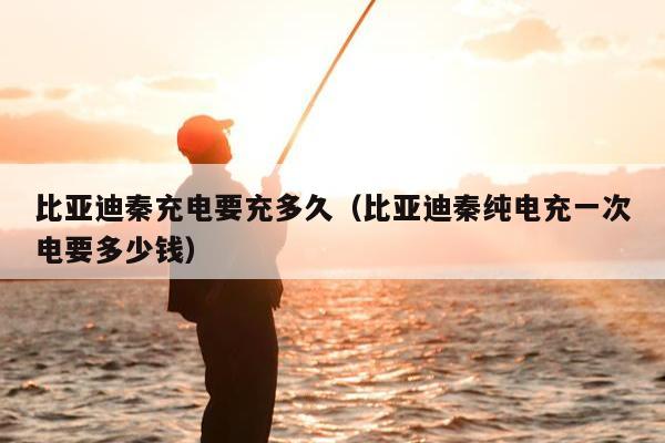 比亚迪秦充电要充多久（比亚迪秦纯电充一次电要多少钱）