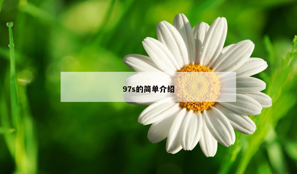 97s的简单介绍