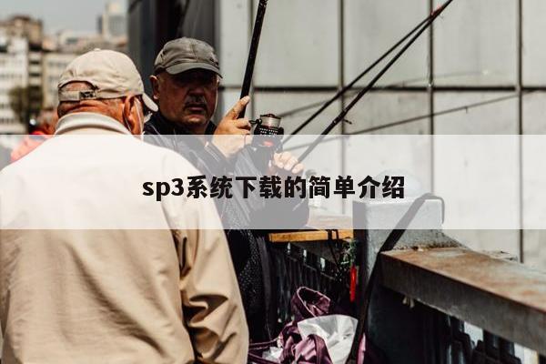 sp3系统下载的简单介绍