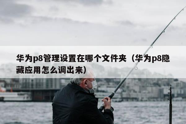 华为p8管理设置在哪个文件夹（华为p8隐藏应用怎么调出来）