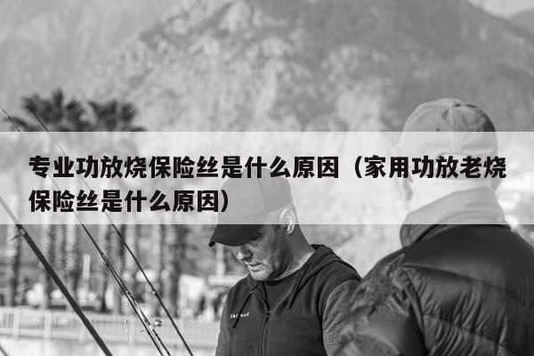 专业功放烧保险丝是什么原因（家用功放老烧保险丝是什么原因）