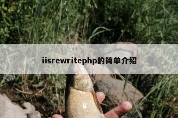 iisrewritephp的简单介绍