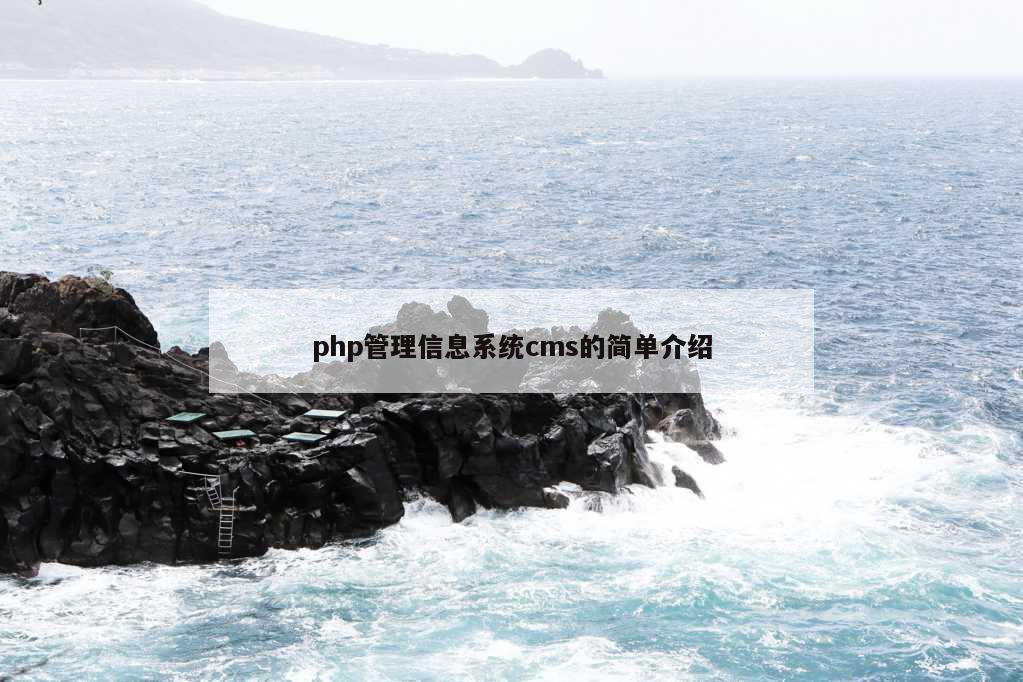 php管理信息系统cms的简单介绍