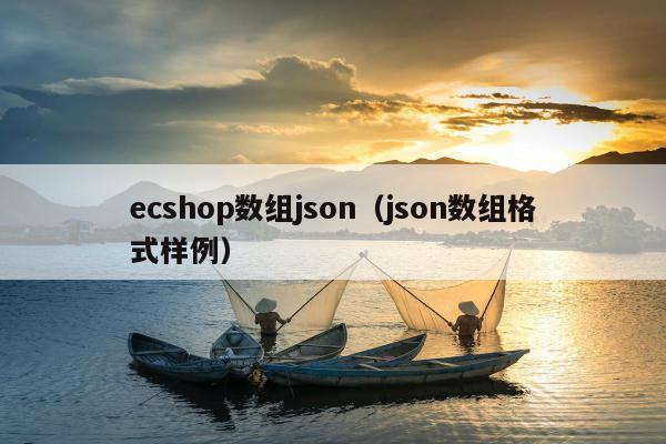 ecshop数组json（json数组格式样例）