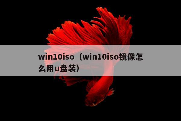 win10iso（win10iso镜像怎么用u盘装）