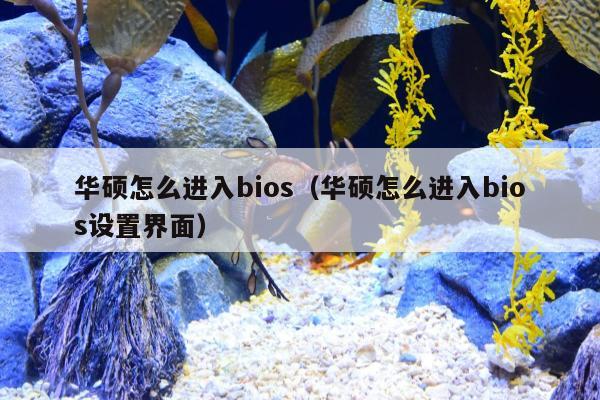 华硕怎么进入bios（华硕怎么进入bios设置界面）