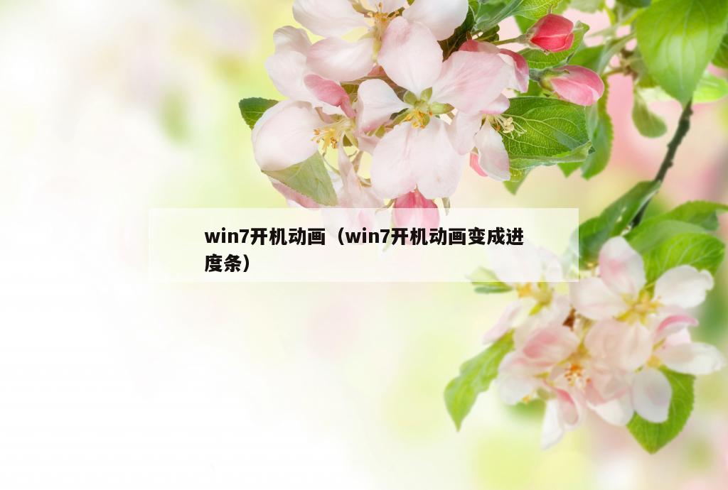 win7开机动画（win7开机动画变成进度条）