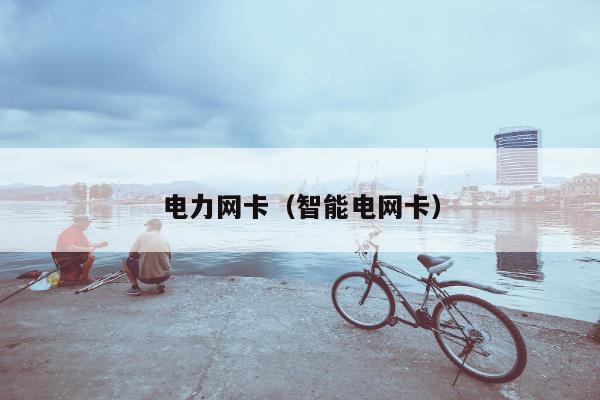 电力网卡（智能电网卡）