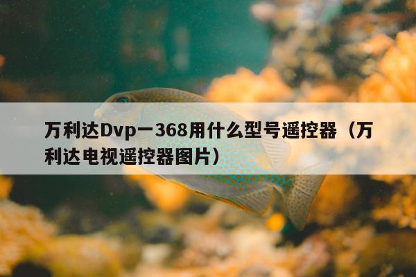 万利达Dvp一368用什么型号遥控器（万利达电视遥控器图片）