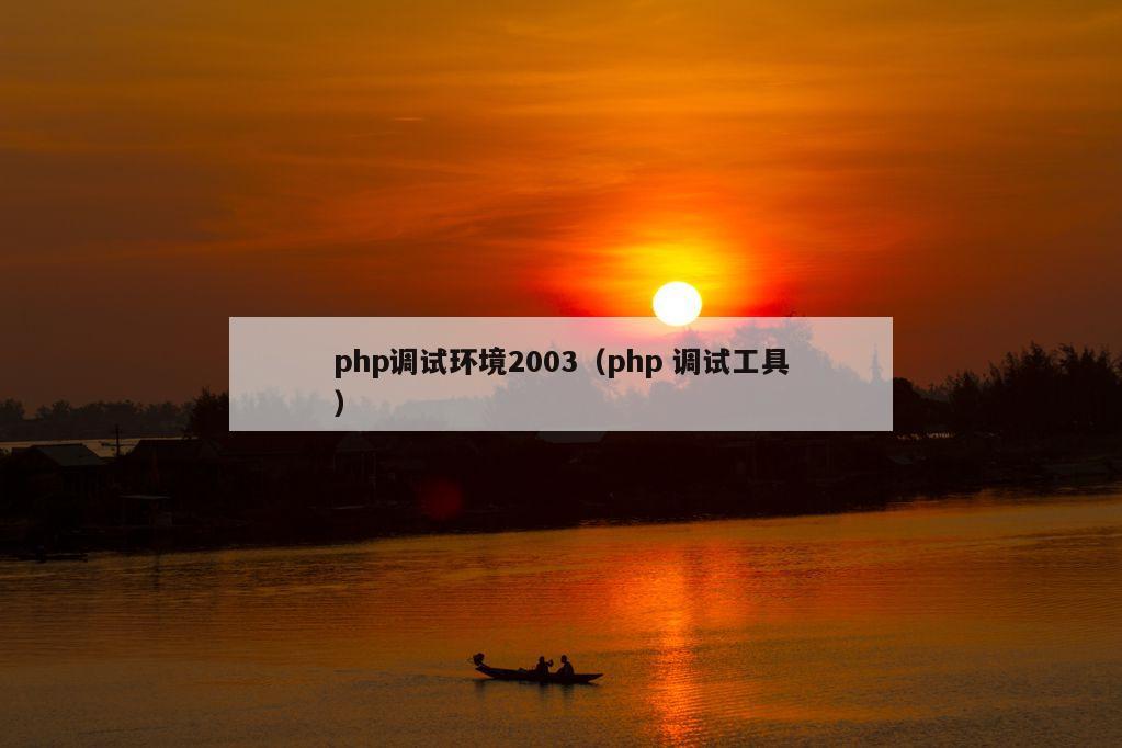 php调试环境2003（php 调试工具）