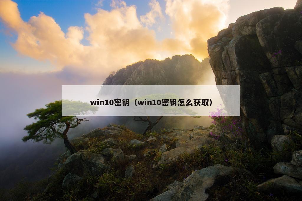 win10密钥（win10密钥怎么获取）