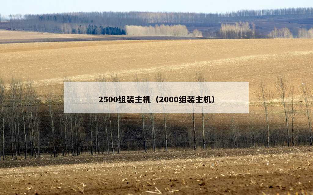 2500组装主机（2000组装主机）