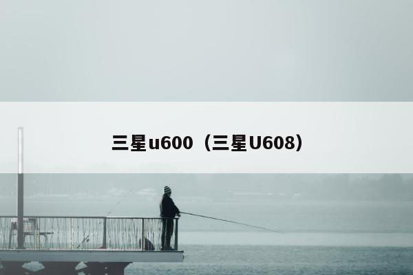 三星u600（三星U608）