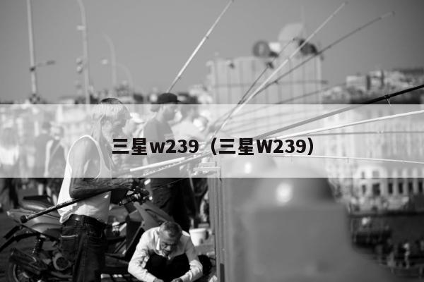 三星w239（三星W239）