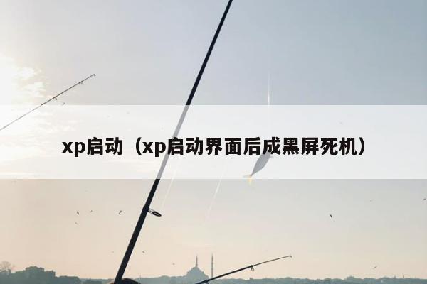 xp启动（xp启动界面后成黑屏死机）