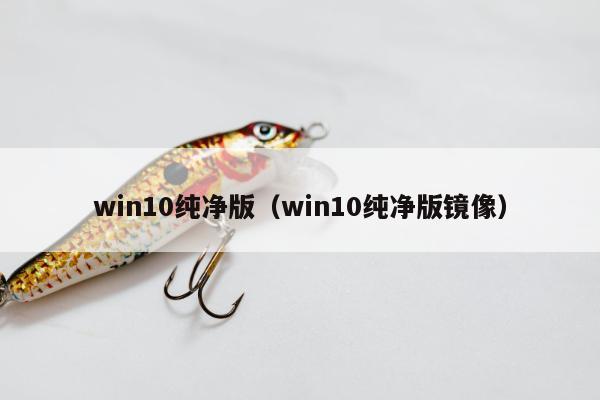 win10纯净版（win10纯净版镜像）