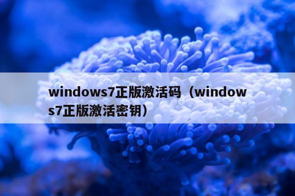 windows7正版激活码（windows7正版激活密钥）