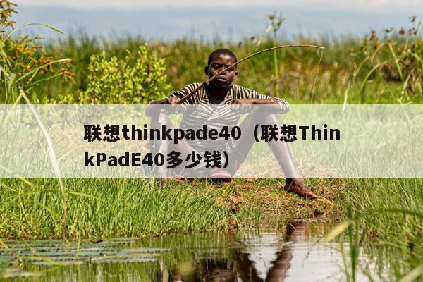 联想thinkpade40（联想ThinkPadE40多少钱）