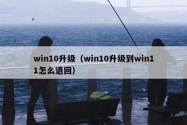 win10升级（win10升级到win11怎么退回）