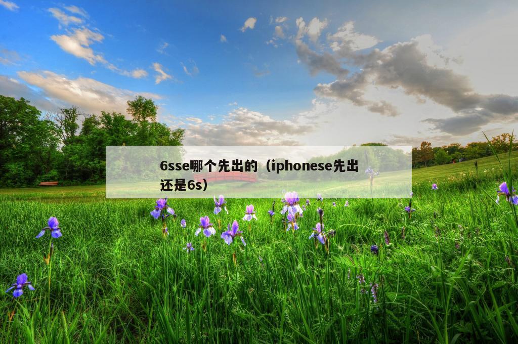 6sse哪个先出的（iphonese先出还是6s）