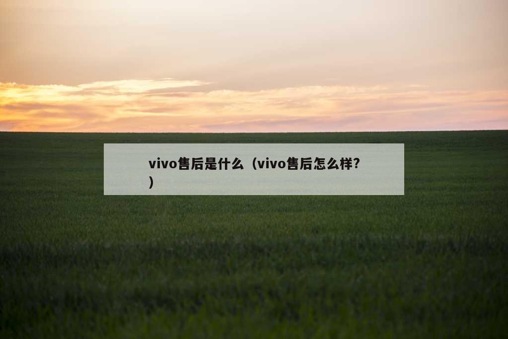 vivo售后是什么（vivo售后怎么样?）