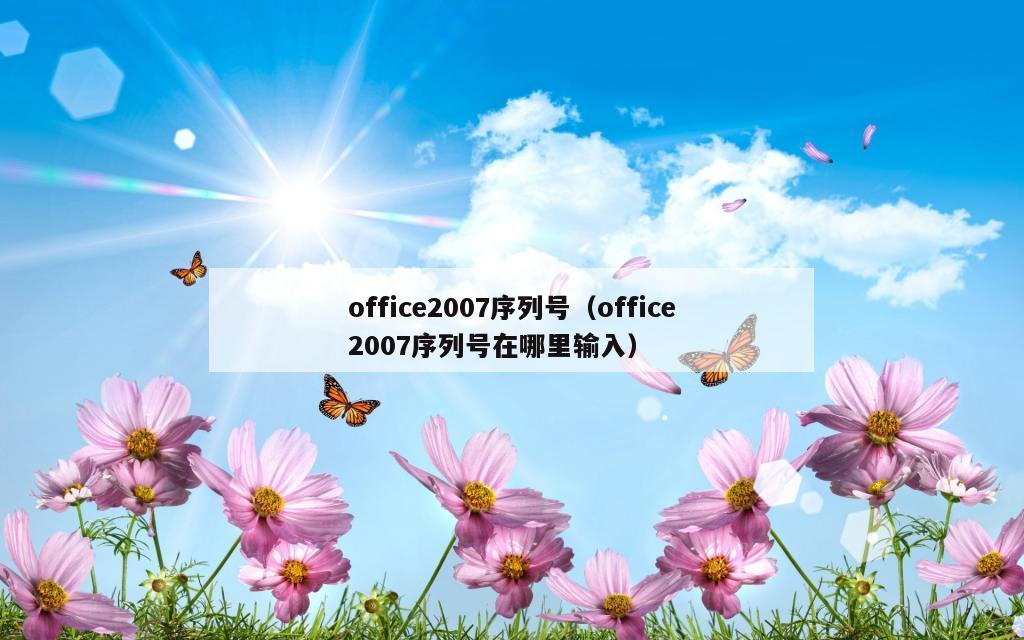 office2007序列号（office2007序列号在哪里输入）