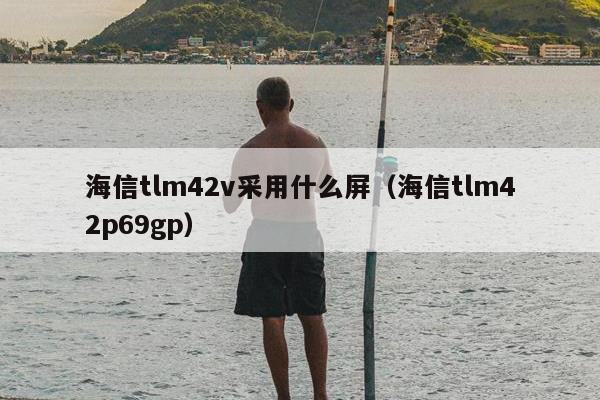 海信tlm42v采用什么屏（海信tlm42p69gp）