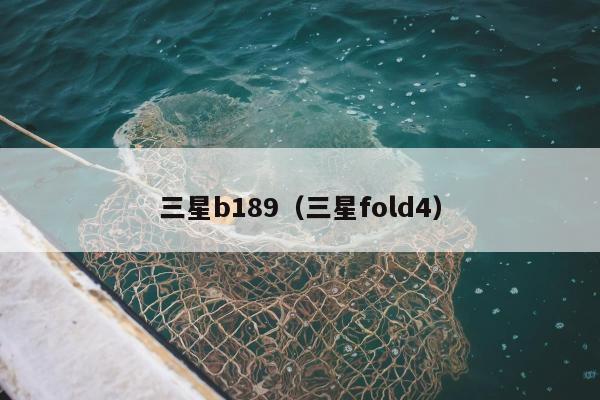 三星b189（三星fold4）