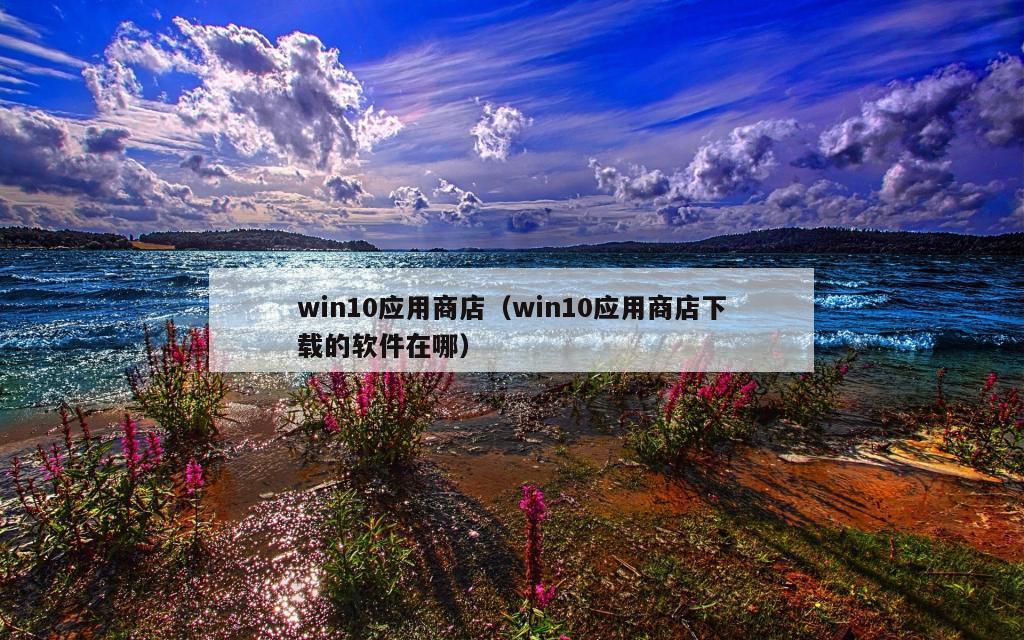 win10应用商店（win10应用商店下载的软件在哪）