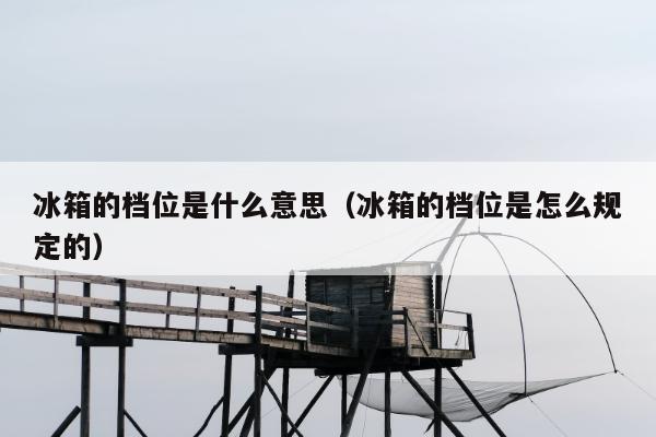 冰箱的档位是什么意思（冰箱的档位是怎么规定的）