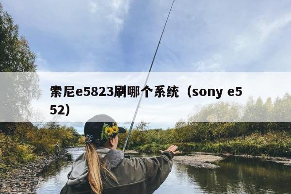 索尼e5823刷哪个系统（sony e552）