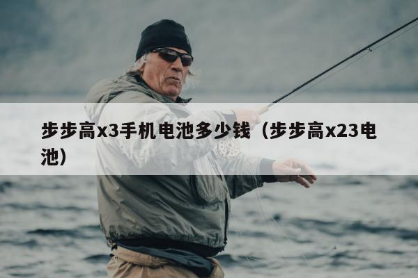 步步高x3手机电池多少钱（步步高x23电池）