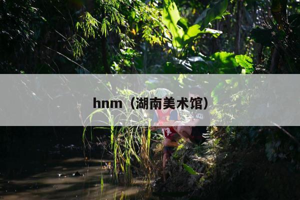 hnm（湖南美术馆）