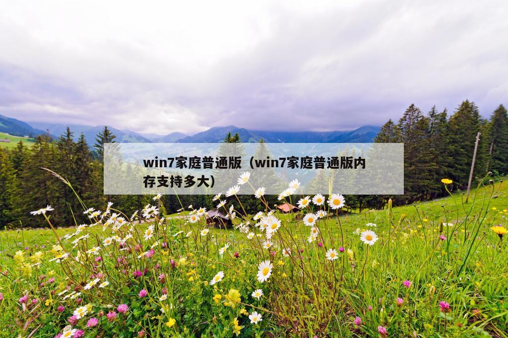 win7家庭普通版（win7家庭普通版内存支持多大）