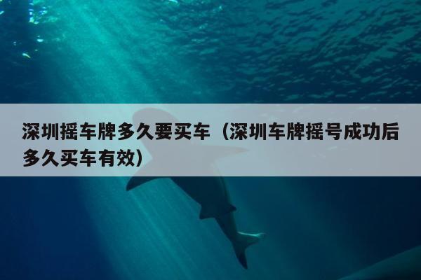 深圳摇车牌多久要买车（深圳车牌摇号成功后多久买车有效）