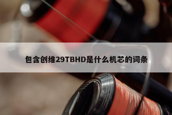 包含创维29TBHD是什么机芯的词条