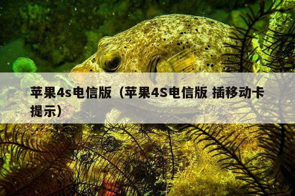 苹果4s电信版（苹果4S电信版 插移动卡提示）