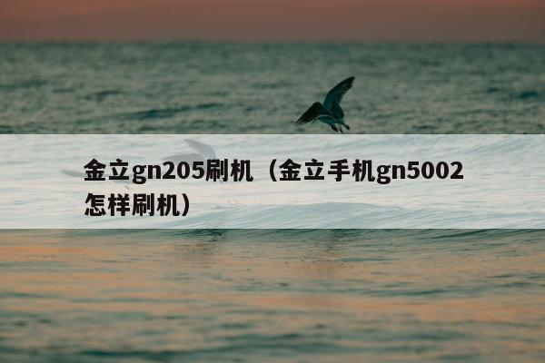 金立gn205刷机（金立手机gn5002怎样刷机）