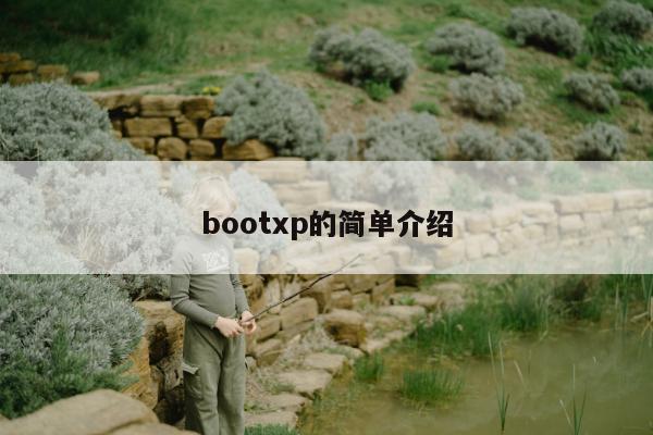 bootxp的简单介绍